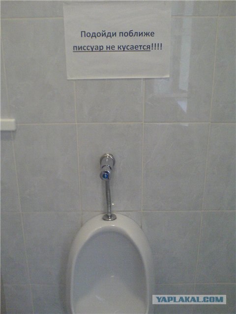 Приколы из Казахстана