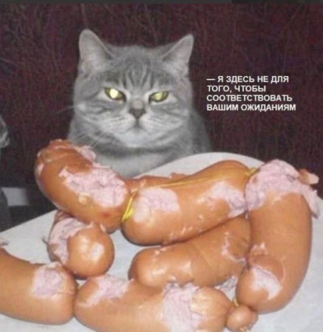 Картинки и мемы, всем хороших выходных