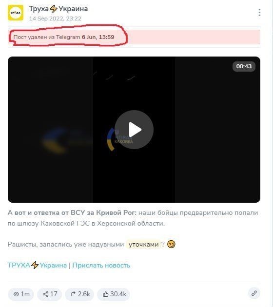 В Херсон начала прибывать вода и на улицы города вышли бобры.