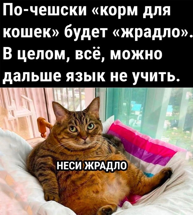 А ты возьми меня, пожалуйста, вторым...