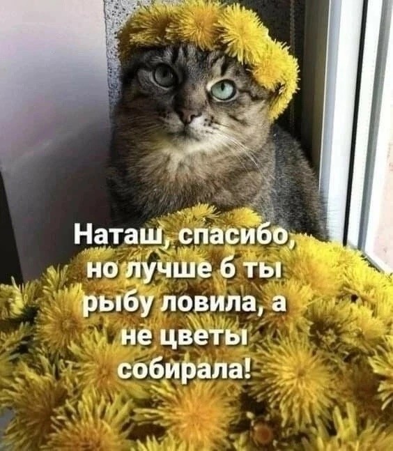 Просто фотки с животными №2