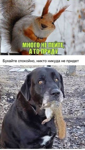 Так себе картинки 31.12.23