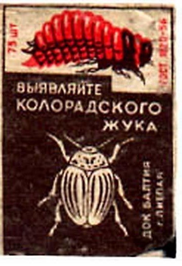 Спичечные коробки из СССР