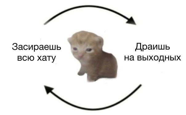 Всего понемногу. От 16.05.2024