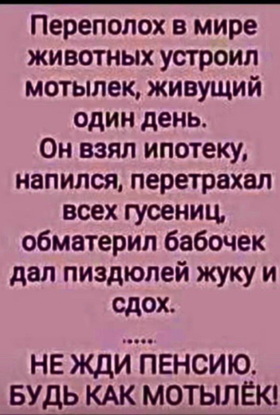 Какая пятница такие и картинки