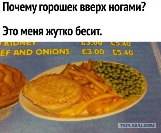 Весёлый полтишок 18.03.2025