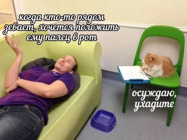 10 картинок падонгам для вечернего настроения
