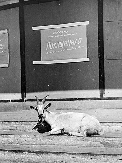 Пойдем в кино, Россия!