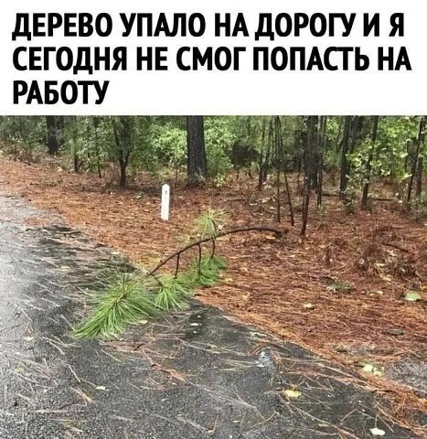 Картинки для деградации 210 (разной степени свежести)