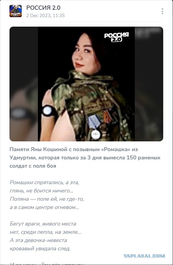Кошка Яна 19 лет