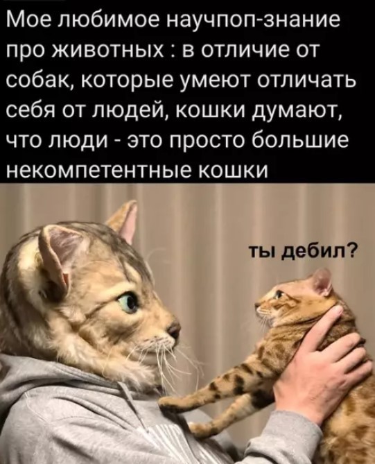 Картинки для деградации 242 (разной степени свежести)