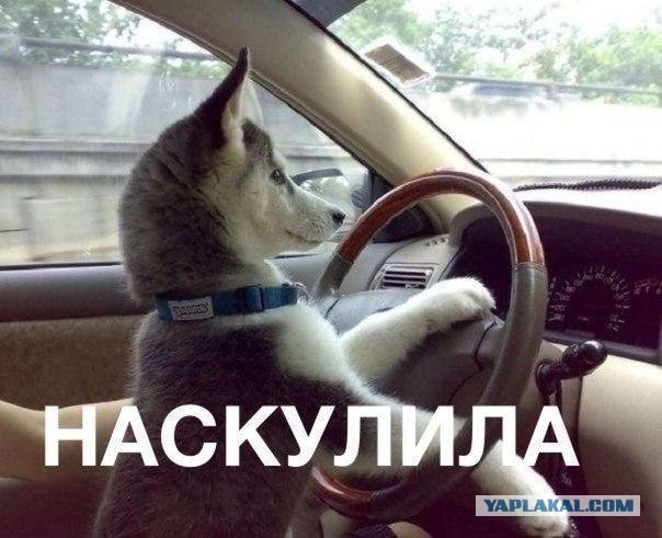 Не насосала