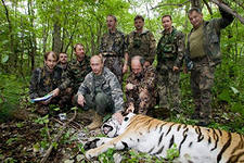 Подонки убили тигра в Приморье для самоутверждения