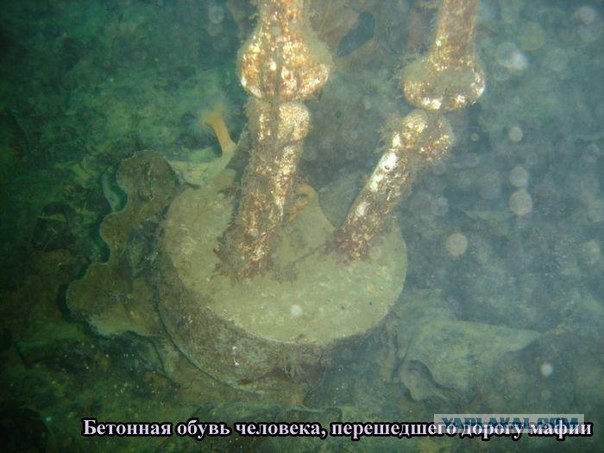 Кладбище нью-йоркской мафии