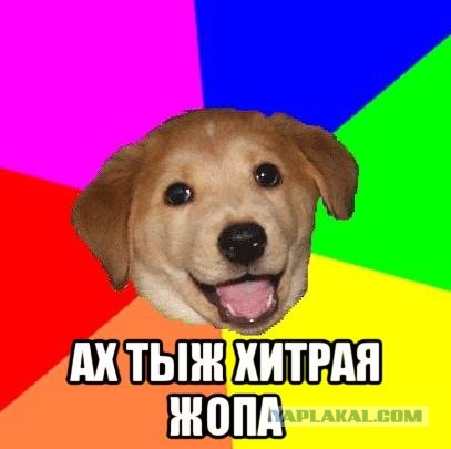 Вот такое принёс ребёнок из школы