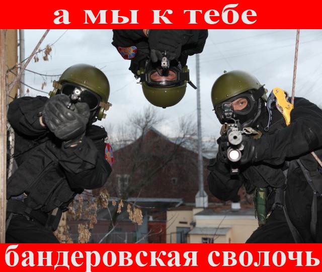 Демотиваторы и просто веселые картинки