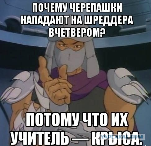 Весёлые картинки. Разбавим будни