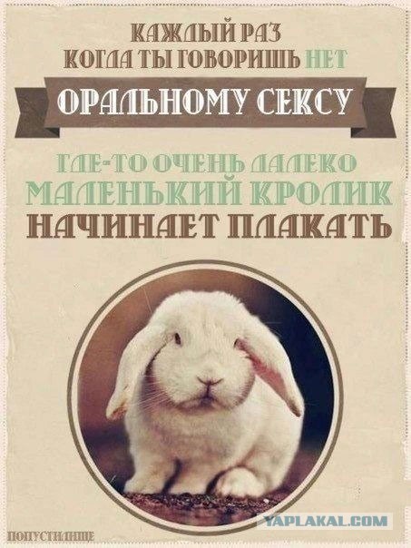 Улыбки пост!