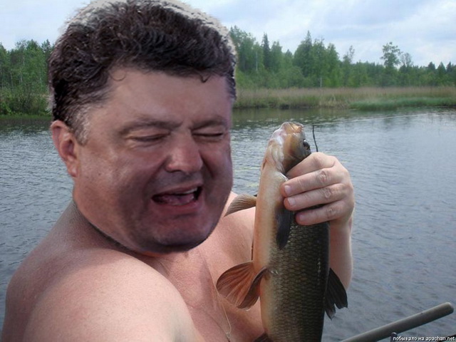 Пожабим порошка?