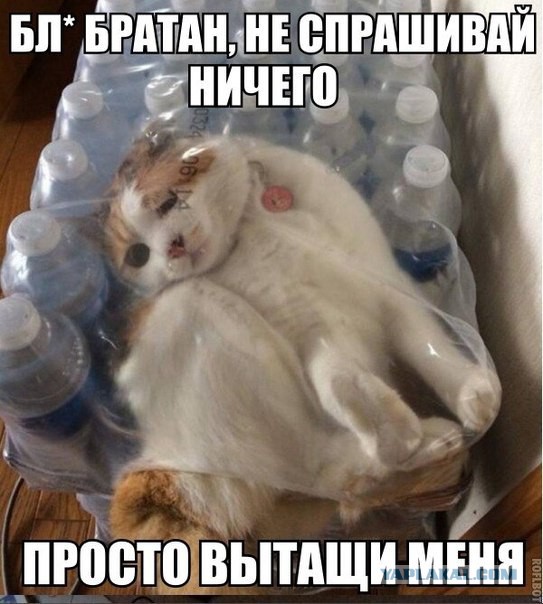 Смешные картинки, добавляйте свои!