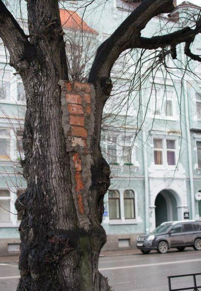 Весёлые картинки