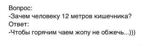 Смешные комментарии из соц сетей