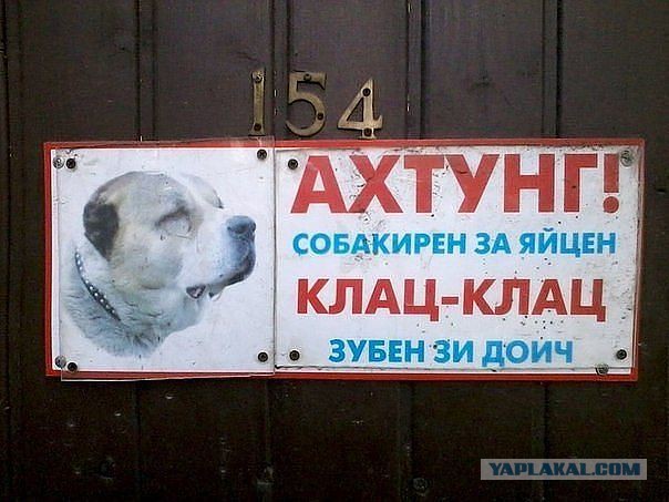 Забавные картинки из интернетов