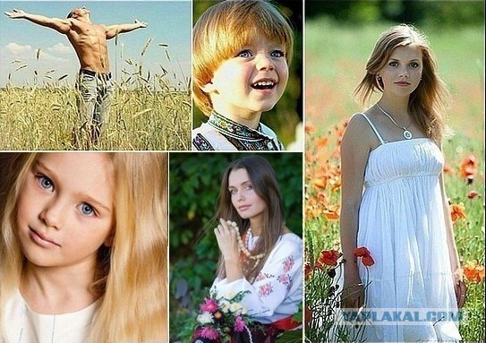 Мысли под никабом