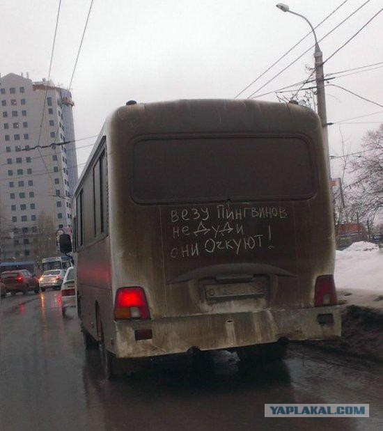 Автоприколы