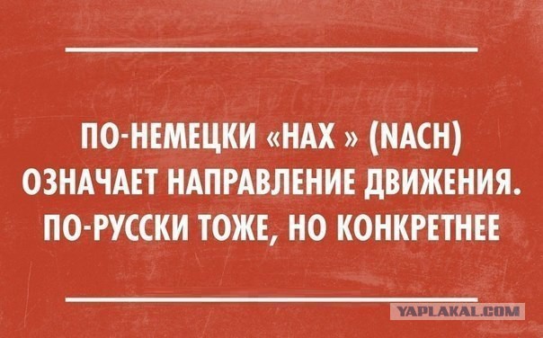 12 чудесных тонкостей русского языка