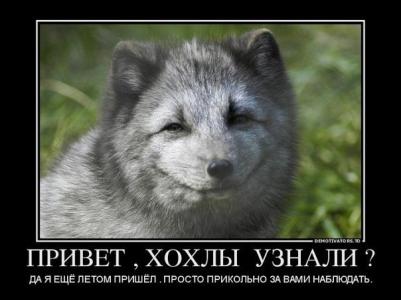 10 политических картинок часть 16