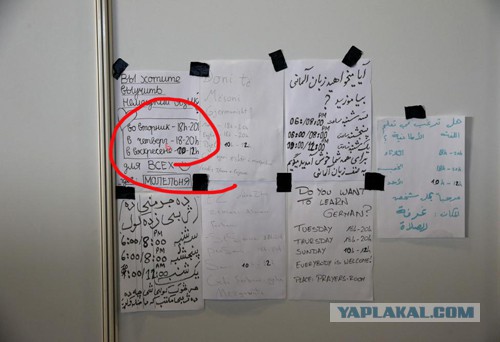 Как в Германии принимают беженцев