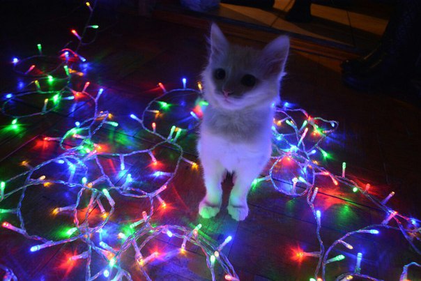 Разные картинки