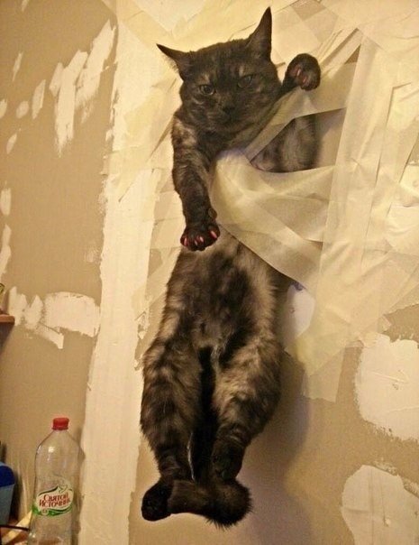 Картинки разные 2