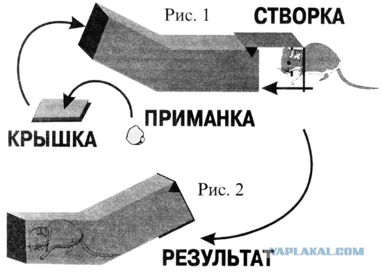 Японская мышеловка