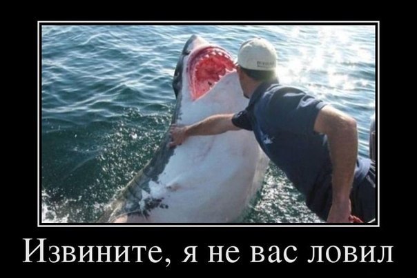 Подборка картинок из сети