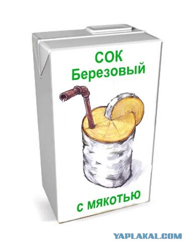 Берёзовый хлеб русского будущего