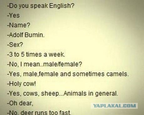 Абсурдный юмор ч.2