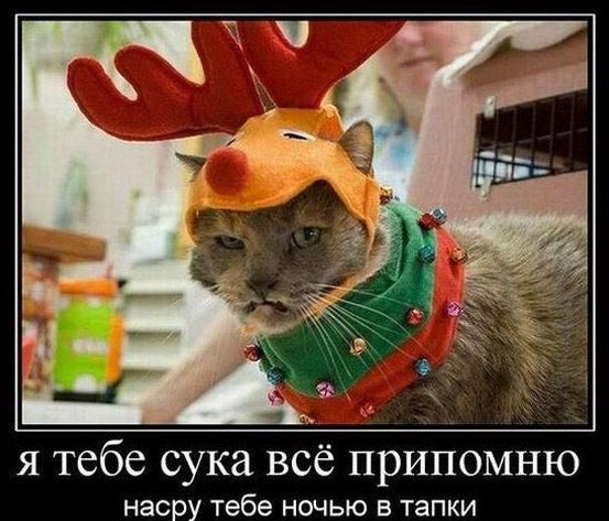 Подборка картинок