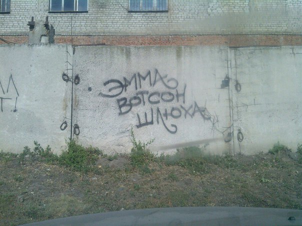 Эмма Уотсон сделает перерыв в кинокарьере, чтобы сфокусироваться на феминизме