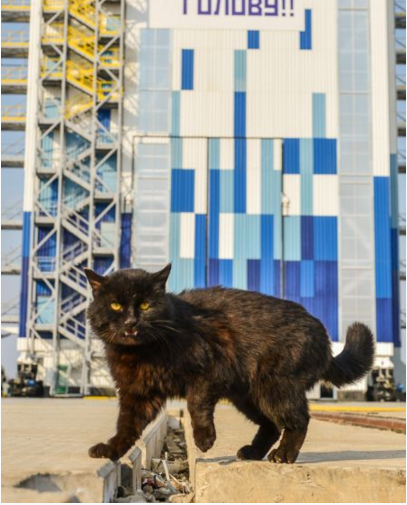 Поехали! Первый запуск с космодрома "Восточный"