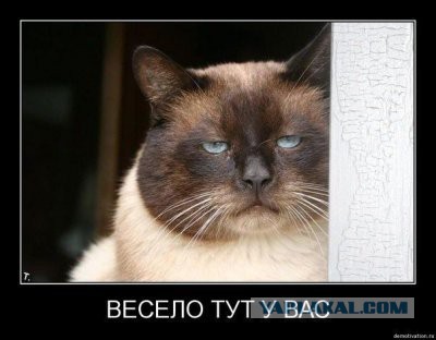 "Здесь вам не Москва". Монстрация 2016.