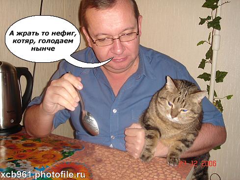 Фотожаба: Правильное питание для кота