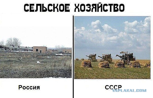 До каких пор  в нашей стране богатым людям со связями будут сходить с рук убийства?