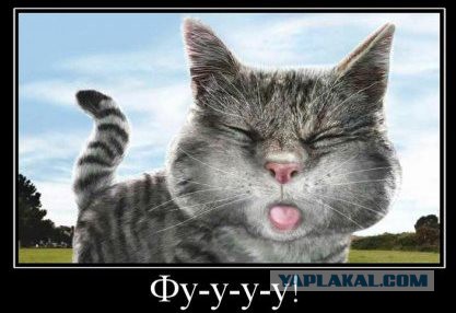 Чудо по имени Катя