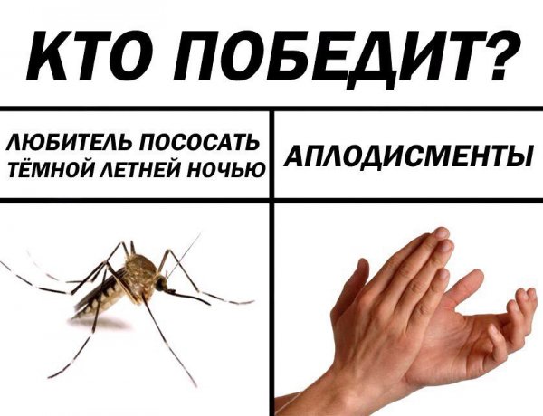 Приколы в стиле "регресс"