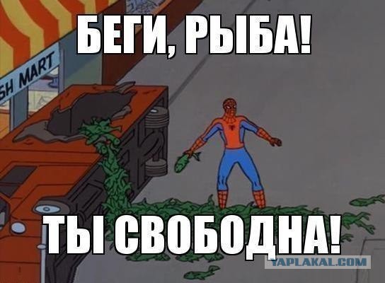 Старые добрые баяны, на случай если кто то стал забывать