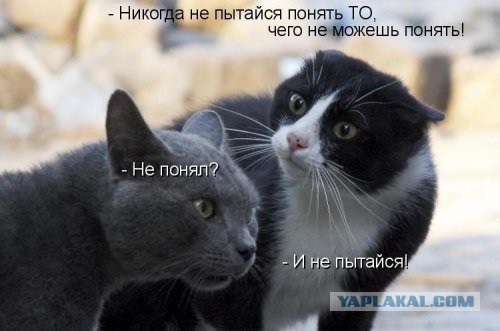 Что изменится в жизни россиян с 1 декабря