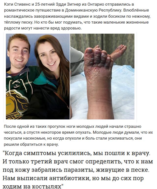 И рыбку съесть и сковородку не помыть