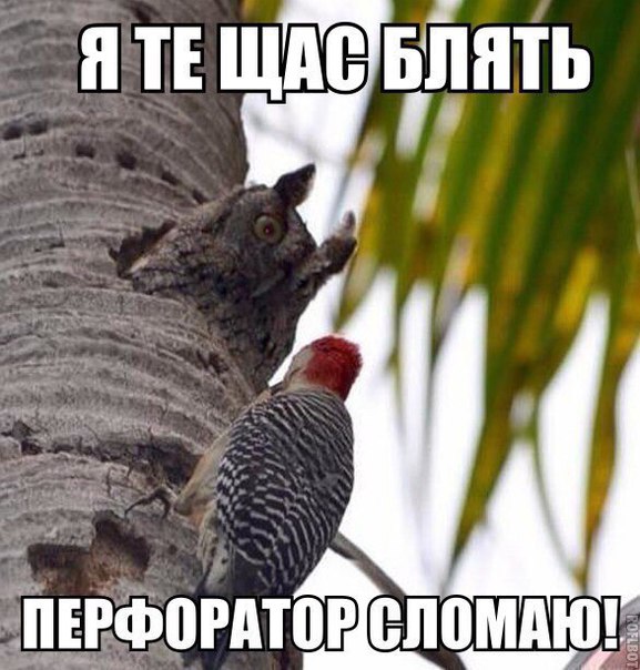 Перфоратор